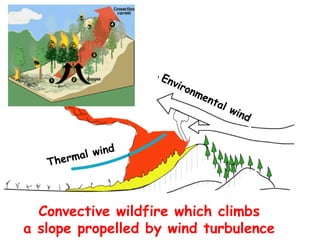 Convective wildfire which climbs
a slope propelled by wind turbulence
 