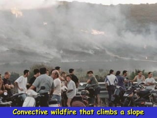 Convective wildfire that climbs a slope
 
