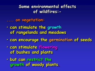 Some environmental effects
of wildfires:-
.... on vegetation:
• can stimulate the growth
of rangelands and meadows
• can encourage the germination of seeds
• can stimulate flowering
of bushes and plants
• but can restrict the
growth of woody plants.
 