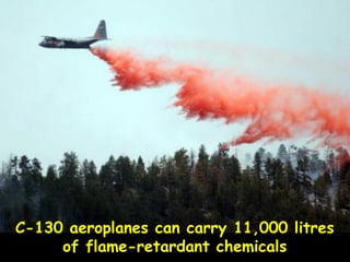 C-130 aeroplanes can carry 11,000 litres
of flame-retardant chemicals
 