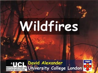 Wildfires
David Alexander
University College London
 