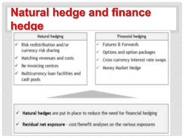 Natural Hedging All You Need To Know About It