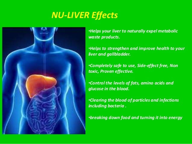 How To Keepyourliverhealthy Webmd How To Keepyourliverhealthy Webmd