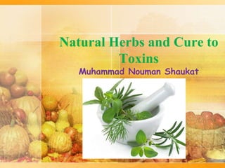Natural Herbs and Cure to
Toxins
Muhammad Nouman Shaukat
 