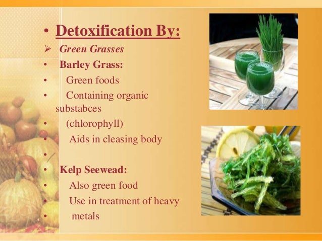 Herbs That Detox Mercury herbs and cure to toxins Herbs That Detox Mercury herbs and cure to toxins
