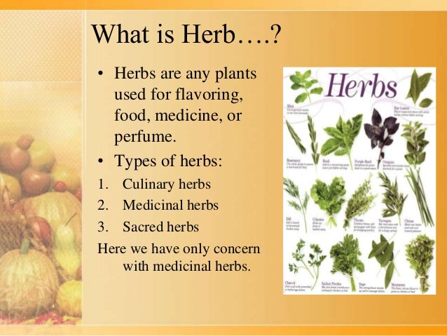 Natural Herbs Used For Medicine Natural Herbs Used For Medicine