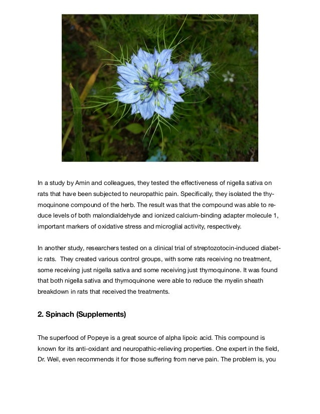 Natural Herbs For Nerve Pain