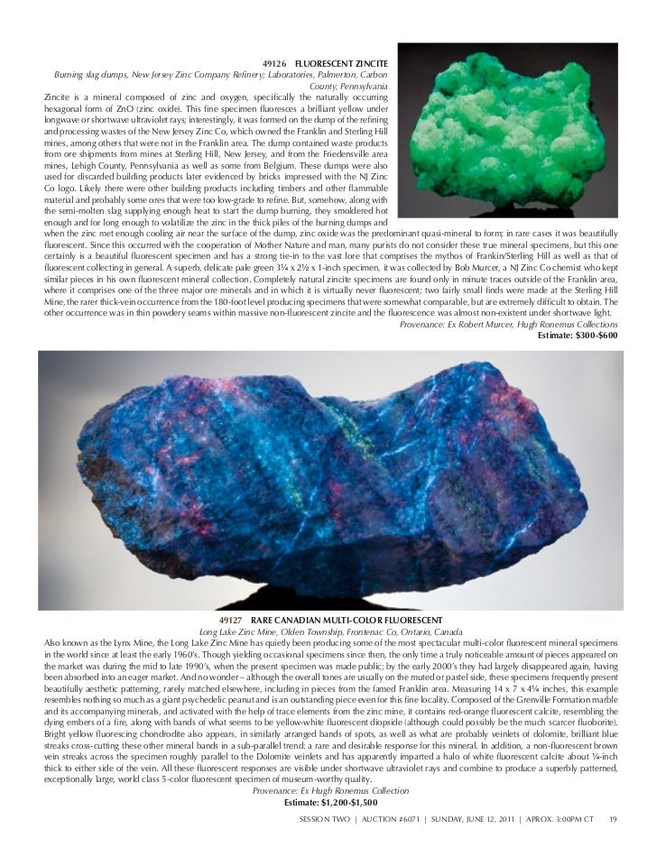 Natual History Dinosaurs Rare Minerals Auction 6071 Heritage Aucti