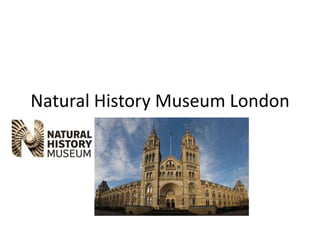 Natural History Museum London
 