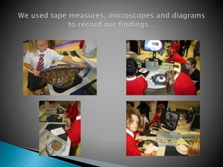 Natural history museum powerpoint | PPTX