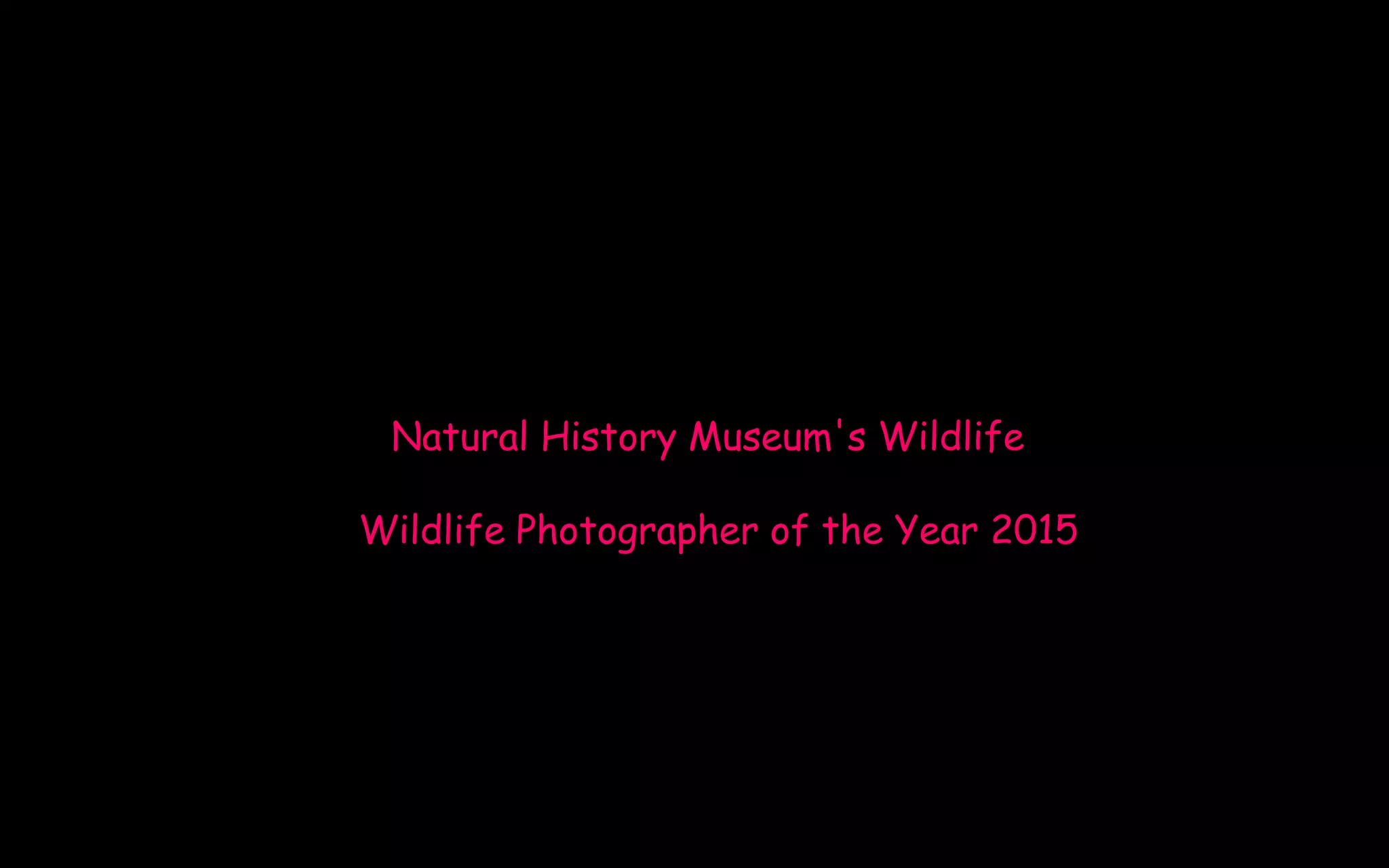 Natural History Museum's Wildlife
Wildlife Photographer of the Year 2015
 