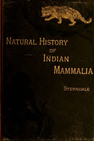 History
Mammalia
SternDALE
 
