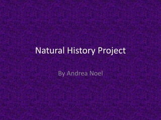 Natural History Project

     By Andrea Noel
 