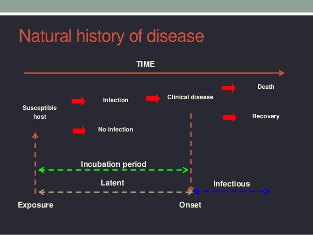 Outcomes Of Natural History Of Disease Stages Outcomes Of Natural History Of Disease Stages
