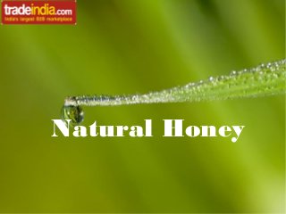 Natural Honey

 
