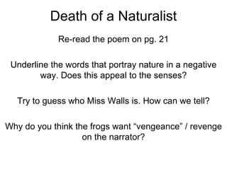 Death of a Naturalist  Re-read the poem on pg. 21 Underline the words that portray nature in a negative way. Does this appeal to the senses? Try to guess who Miss Walls is. How can we tell? Why do you think the frogs want “vengeance” / revenge on the narrator? 