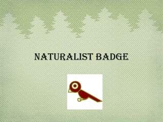 Naturalist Badge

 