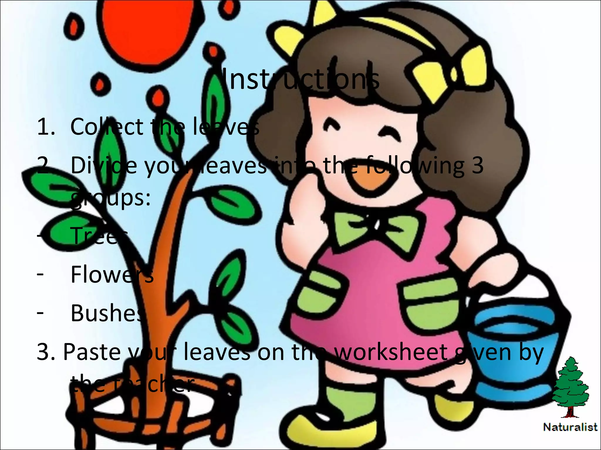 Instructions
1. Collect the leaves
2. Divide your leaves into the following 3
groups:
- Trees
- Flowers
- Bushes
3. Paste your leaves on the worksheet given by
the teacher.