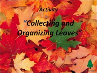 Activity
“Collecting and
Organizing Leaves”
 