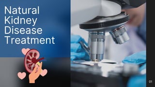 01
Natural
Kidney
Disease
Treatment
 