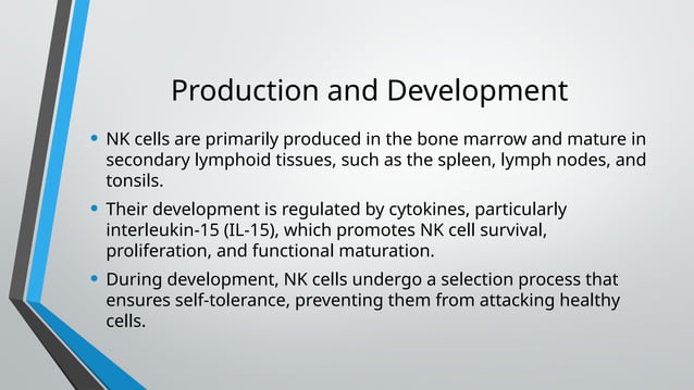 Natural Killer Cells Nk Cell Pptx Immunology Pptx