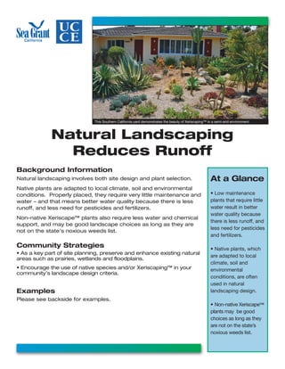 This Southern California yard demonstrates the beauty of Xeriscaping™ in a semi-arid environment.



             Natural Landscaping
               Reduces Runoff
Background Information
Natural landscaping involves both site design and plant selection.                                    At a Glance
Native plants are adapted to local climate, soil and environmental
conditions. Properly placed, they require very little maintenance and                                 • Low maintenance
water – and that means better water quality because there is less                                     plants that require little
runoff, and less need for pesticides and fertilizers.                                                 water result in better
                                                                                                      water quality because
Non-native Xeriscape™ plants also require less water and chemical
                                                                                                      there is less runoff, and
support, and may be good landscape choices as long as they are
                                                                                                      less need for pesticides
not on the state’s noxious weeds list.
                                                                                                      and fertilizers.

Community Strategies                                                                                  • Native plants, which
• As a key part of site planning, preserve and enhance existing natural
                                                                                                      are adapted to local
areas such as prairies, wetlands and floodplains.
                                                                                                      climate, soil and
• Encourage the use of native species and/or Xeriscaping™ in your                                     environmental
community’s landscape design criteria.
                                                                                                      conditions, are often
                                                                                                      used in natural
Examples                                                                                              landscaping design.
Please see backside for examples.
                                                                                                      • Non-native Xeriscape™
                                                                                                      plants may be good
                                                                                                      choices as long as they
                                                                                                      are not on the state’s
                                                                                                      noxious weeds list.
 