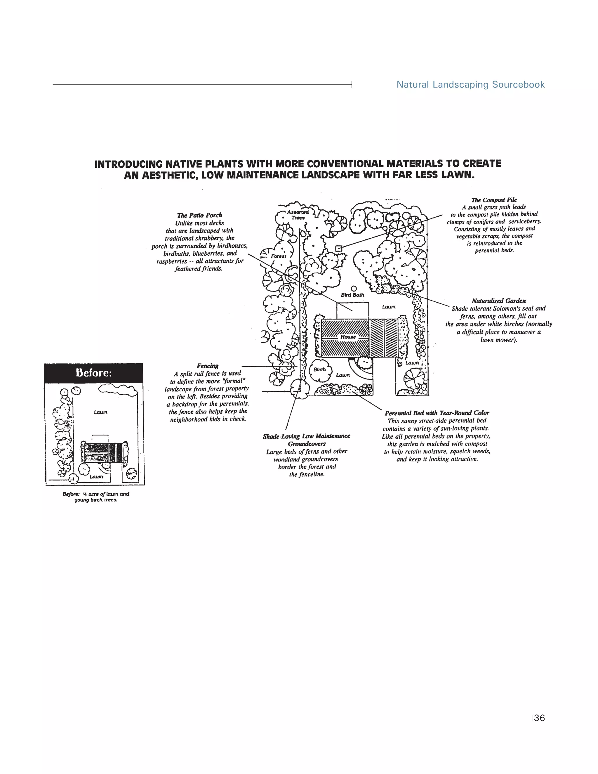 Natural Landscaping Sourcebook




                           36
 