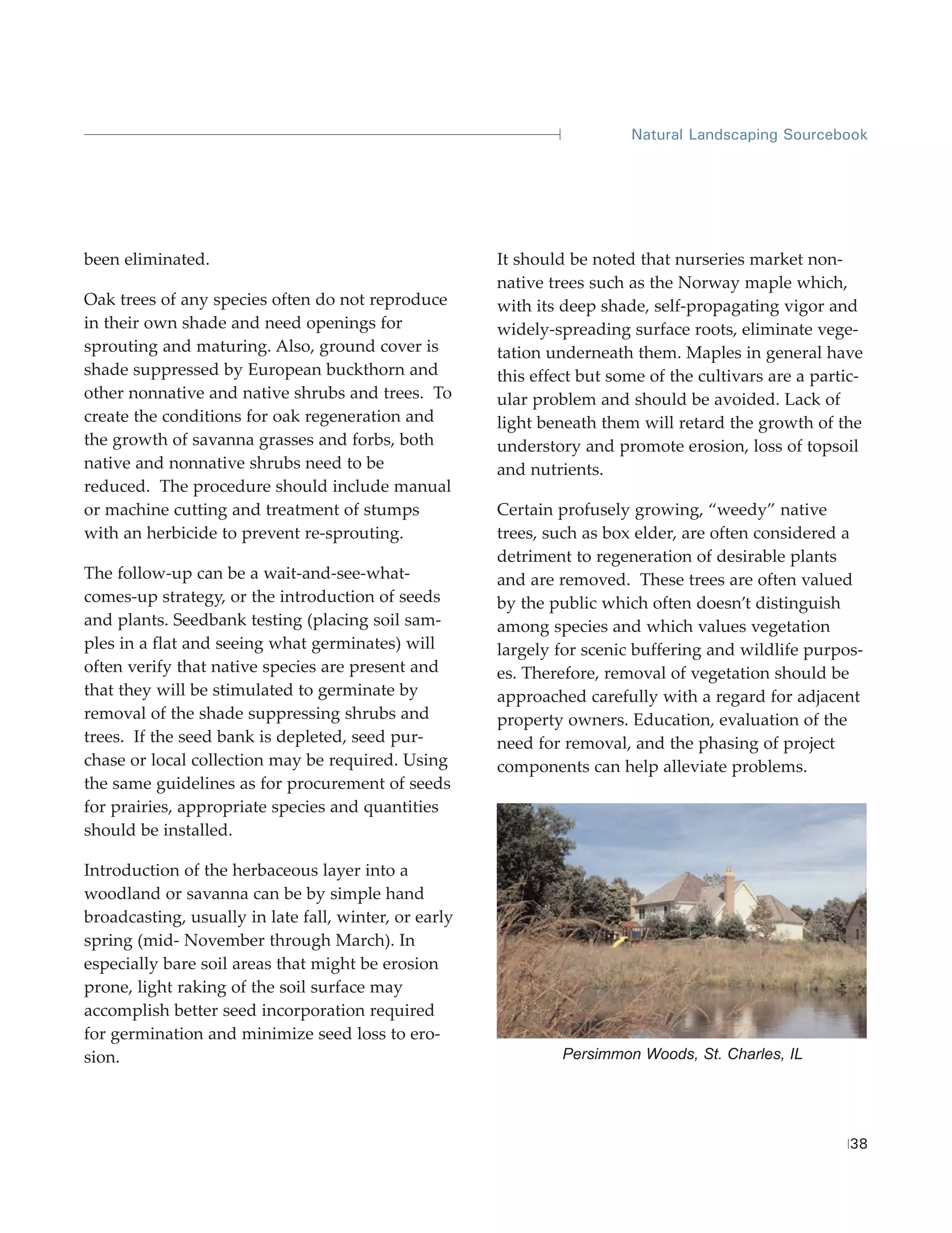 Natural Landscaping Sourcebook




been eliminated.                                       It should be noted that nurseries market non-
                                                       native trees such as the Norway maple which,
Oak trees of any species often do not reproduce        with its deep shade, self-propagating vigor and
in their own shade and need openings for               widely-spreading surface roots, eliminate vege-
sprouting and maturing. Also, ground cover is          tation underneath them. Maples in general have
shade suppressed by European buckthorn and             this effect but some of the cultivars are a partic-
other nonnative and native shrubs and trees. To        ular problem and should be avoided. Lack of
create the conditions for oak regeneration and         light beneath them will retard the growth of the
the growth of savanna grasses and forbs, both          understory and promote erosion, loss of topsoil
native and nonnative shrubs need to be                 and nutrients.
reduced. The procedure should include manual
or machine cutting and treatment of stumps             Certain profusely growing, “weedy” native
with an herbicide to prevent re-sprouting.             trees, such as box elder, are often considered a
                                                       detriment to regeneration of desirable plants
The follow-up can be a wait-and-see-what-              and are removed. These trees are often valued
comes-up strategy, or the introduction of seeds        by the public which often doesn’t distinguish
and plants. Seedbank testing (placing soil sam-        among species and which values vegetation
ples in a flat and seeing what germinates) will        largely for scenic buffering and wildlife purpos-
often verify that native species are present and       es. Therefore, removal of vegetation should be
that they will be stimulated to germinate by           approached carefully with a regard for adjacent
removal of the shade suppressing shrubs and            property owners. Education, evaluation of the
trees. If the seed bank is depleted, seed pur-         need for removal, and the phasing of project
chase or local collection may be required. Using       components can help alleviate problems.
the same guidelines as for procurement of seeds
for prairies, appropriate species and quantities
should be installed.

Introduction of the herbaceous layer into a
woodland or savanna can be by simple hand
broadcasting, usually in late fall, winter, or early
spring (mid- November through March). In
especially bare soil areas that might be erosion
prone, light raking of the soil surface may
accomplish better seed incorporation required
for germination and minimize seed loss to ero-
sion.                                                           Persimmon Woods, St. Charles, IL




                                                                                                        38
 