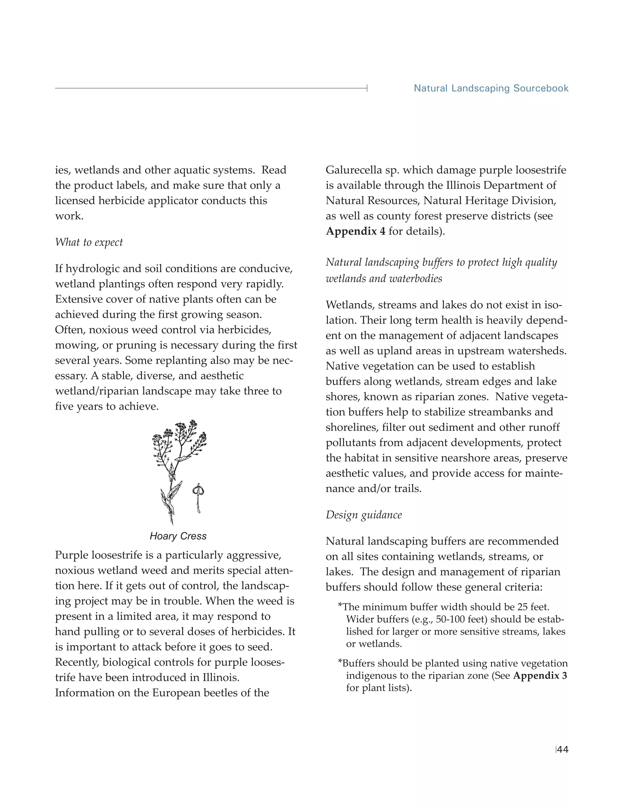 Natural Landscaping Sourcebook




ies, wetlands and other aquatic systems. Read         Galurecella sp. which damage purple loosestrife
the product labels, and make sure that only a         is available through the Illinois Department of
licensed herbicide applicator conducts this           Natural Resources, Natural Heritage Division,
work.                                                 as well as county forest preserve districts (see
                                                      Appendix 4 for details).
What to expect
                                                      Natural landscaping buffers to protect high quality
If hydrologic and soil conditions are conducive,
wetland plantings often respond very rapidly.         wetlands and waterbodies
Extensive cover of native plants often can be
                                                      Wetlands, streams and lakes do not exist in iso-
achieved during the first growing season.
                                                      lation. Their long term health is heavily depend-
Often, noxious weed control via herbicides,
                                                      ent on the management of adjacent landscapes
mowing, or pruning is necessary during the first
                                                      as well as upland areas in upstream watersheds.
several years. Some replanting also may be nec-
                                                      Native vegetation can be used to establish
essary. A stable, diverse, and aesthetic
                                                      buffers along wetlands, stream edges and lake
wetland/riparian landscape may take three to
                                                      shores, known as riparian zones. Native vegeta-
five years to achieve.
                                                      tion buffers help to stabilize streambanks and
                                                      shorelines, filter out sediment and other runoff
                                                      pollutants from adjacent developments, protect
                                                      the habitat in sensitive nearshore areas, preserve
                                                      aesthetic values, and provide access for mainte-
                                                      nance and/or trails.

                                                      Design guidance
                    Hoary Cress
                                                      Natural landscaping buffers are recommended
Purple loosestrife is a particularly aggressive,      on all sites containing wetlands, streams, or
noxious wetland weed and merits special atten-        lakes. The design and management of riparian
tion here. If it gets out of control, the landscap-   buffers should follow these general criteria:
ing project may be in trouble. When the weed is
                                                        *The minimum buffer width should be 25 feet.
present in a limited area, it may respond to              Wider buffers (e.g., 50-100 feet) should be estab-
hand pulling or to several doses of herbicides. It        lished for larger or more sensitive streams, lakes
is important to attack before it goes to seed.            or wetlands.
Recently, biological controls for purple looses-        *Buffers should be planted using native vegetation
trife have been introduced in Illinois.                   indigenous to the riparian zone (See Appendix 3
                                                          for plant lists).
Information on the European beetles of the




                                                                                                          44
 