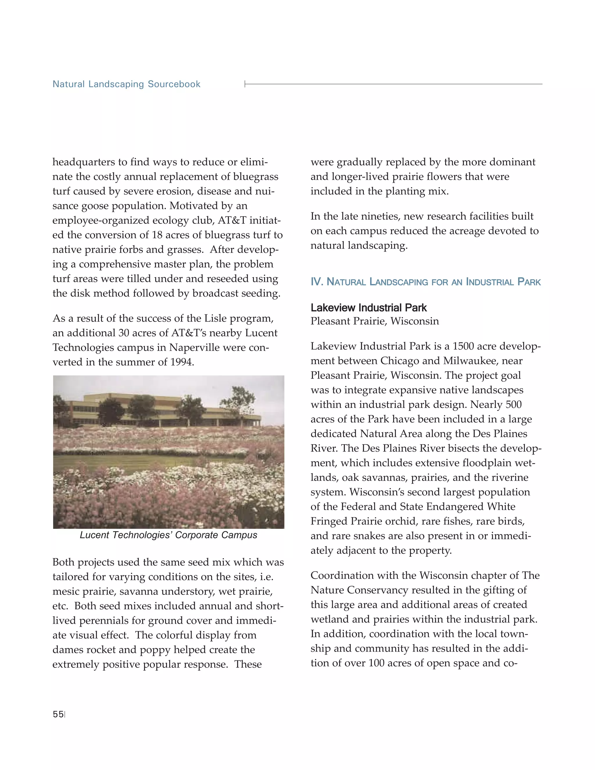 Natural Landscaping Sourcebook




headquarters to find ways to reduce or elimi-        were gradually replaced by the more dominant
nate the costly annual replacement of bluegrass      and longer-lived prairie flowers that were
turf caused by severe erosion, disease and nui-      included in the planting mix.
sance goose population. Motivated by an
employee-organized ecology club, AT&T initiat-       In the late nineties, new research facilities built
ed the conversion of 18 acres of bluegrass turf to   on each campus reduced the acreage devoted to
native prairie forbs and grasses. After develop-     natural landscaping.
ing a comprehensive master plan, the problem
turf areas were tilled under and reseeded using      IV. NATURAL LANDSCAPING    FOR AN INDUSTRIAL   PARK
the disk method followed by broadcast seeding.
                                                     Lakeview Industrial Park
As a result of the success of the Lisle program,     Pleasant Prairie, Wisconsin
an additional 30 acres of AT&T’s nearby Lucent
Technologies campus in Naperville were con-          Lakeview Industrial Park is a 1500 acre develop-
verted in the summer of 1994.                        ment between Chicago and Milwaukee, near
                                                     Pleasant Prairie, Wisconsin. The project goal
                                                     was to integrate expansive native landscapes
                                                     within an industrial park design. Nearly 500
                                                     acres of the Park have been included in a large
                                                     dedicated Natural Area along the Des Plaines
                                                     River. The Des Plaines River bisects the develop-
                                                     ment, which includes extensive floodplain wet-
                                                     lands, oak savannas, prairies, and the riverine
                                                     system. Wisconsin’s second largest population
                                                     of the Federal and State Endangered White
                                                     Fringed Prairie orchid, rare fishes, rare birds,
     Lucent Technologies’ Corporate Campus           and rare snakes are also present in or immedi-
                                                     ately adjacent to the property.
Both projects used the same seed mix which was
tailored for varying conditions on the sites, i.e.   Coordination with the Wisconsin chapter of The
mesic prairie, savanna understory, wet prairie,      Nature Conservancy resulted in the gifting of
etc. Both seed mixes included annual and short-      this large area and additional areas of created
lived perennials for ground cover and immedi-        wetland and prairies within the industrial park.
ate visual effect. The colorful display from         In addition, coordination with the local town-
dames rocket and poppy helped create the             ship and community has resulted in the addi-
extremely positive popular response. These           tion of over 100 acres of open space and co-



55
 