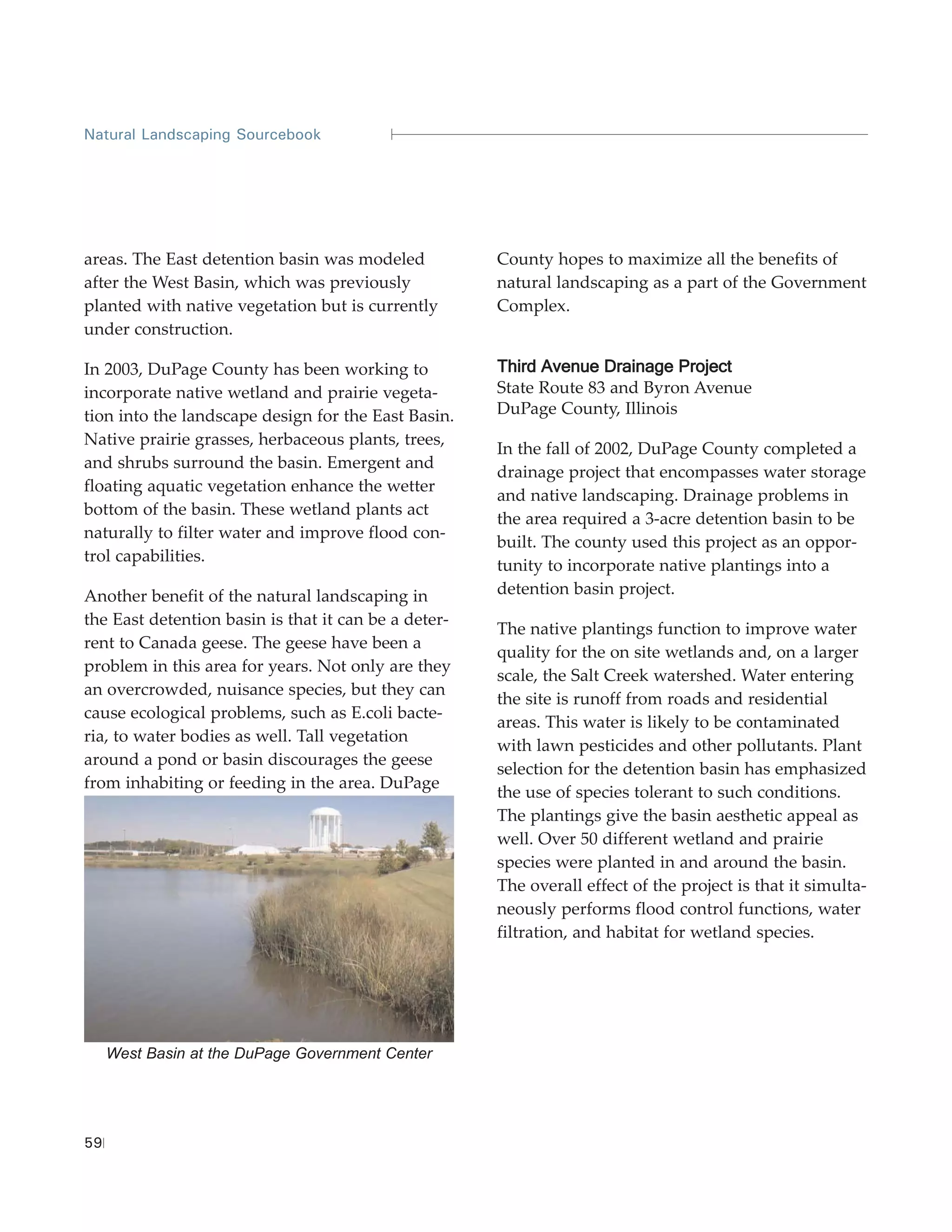 Natural Landscaping Sourcebook




areas. The East detention basin was modeled           County hopes to maximize all the benefits of
after the West Basin, which was previously            natural landscaping as a part of the Government
planted with native vegetation but is currently       Complex.
under construction.

In 2003, DuPage County has been working to            Third Avenue Drainage Project
incorporate native wetland and prairie vegeta-        State Route 83 and Byron Avenue
tion into the landscape design for the East Basin.    DuPage County, Illinois
Native prairie grasses, herbaceous plants, trees,
                                                      In the fall of 2002, DuPage County completed a
and shrubs surround the basin. Emergent and
                                                      drainage project that encompasses water storage
floating aquatic vegetation enhance the wetter
                                                      and native landscaping. Drainage problems in
bottom of the basin. These wetland plants act
                                                      the area required a 3-acre detention basin to be
naturally to filter water and improve flood con-
                                                      built. The county used this project as an oppor-
trol capabilities.
                                                      tunity to incorporate native plantings into a
Another benefit of the natural landscaping in         detention basin project.
the East detention basin is that it can be a deter-
                                                      The native plantings function to improve water
rent to Canada geese. The geese have been a
                                                      quality for the on site wetlands and, on a larger
problem in this area for years. Not only are they
                                                      scale, the Salt Creek watershed. Water entering
an overcrowded, nuisance species, but they can
                                                      the site is runoff from roads and residential
cause ecological problems, such as E.coli bacte-
                                                      areas. This water is likely to be contaminated
ria, to water bodies as well. Tall vegetation
                                                      with lawn pesticides and other pollutants. Plant
around a pond or basin discourages the geese
                                                      selection for the detention basin has emphasized
from inhabiting or feeding in the area. DuPage
                                                      the use of species tolerant to such conditions.
                                                      The plantings give the basin aesthetic appeal as
                                                      well. Over 50 different wetland and prairie
                                                      species were planted in and around the basin.
                                                      The overall effect of the project is that it simulta-
                                                      neously performs flood control functions, water
                                                      filtration, and habitat for wetland species.




     West Basin at the DuPage Government Center




59
 