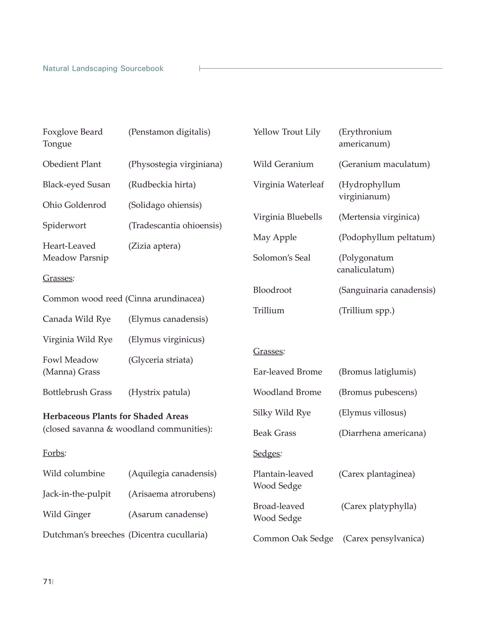 Natural Landscaping Sourcebook




Foxglove Beard       (Penstamon digitalis)      Yellow Trout Lily    (Erythronium
Tongue                                                               americanum)

Obedient Plant       (Physostegia virginiana)   Wild Geranium        (Geranium maculatum)

Black-eyed Susan     (Rudbeckia hirta)          Virginia Waterleaf   (Hydrophyllum
                                                                     virginianum)
Ohio Goldenrod       (Solidago ohiensis)
                                                Virginia Bluebells   (Mertensia virginica)
Spiderwort           (Tradescantia ohioensis)
                                                May Apple            (Podophyllum peltatum)
Heart-Leaved         (Zizia aptera)
Meadow Parsnip                                  Solomon’s Seal       (Polygonatum
                                                                     canaliculatum)
Grasses:
                                                Bloodroot            (Sanguinaria canadensis)
Common wood reed (Cinna arundinacea)
                                                Trillium             (Trillium spp.)
Canada Wild Rye      (Elymus canadensis)

Virginia Wild Rye    (Elymus virginicus)
                                                Grasses:
Fowl Meadow          (Glyceria striata)
(Manna) Grass                                   Ear-leaved Brome     (Bromus latiglumis)

Bottlebrush Grass    (Hystrix patula)           Woodland Brome       (Bromus pubescens)

Herbaceous Plants for Shaded Areas              Silky Wild Rye       (Elymus villosus)
(closed savanna & woodland communities):        Beak Grass           (Diarrhena americana)

Forbs:                                          Sedges:

Wild columbine       (Aquilegia canadensis)     Plantain-leaved      (Carex plantaginea)
                                                Wood Sedge
Jack-in-the-pulpit   (Arisaema atrorubens)
                                                Broad-leaved          (Carex platyphylla)
Wild Ginger          (Asarum canadense)         Wood Sedge
Dutchman’s breeches (Dicentra cucullaria)       Common Oak Sedge      (Carex pensylvanica)



71
 