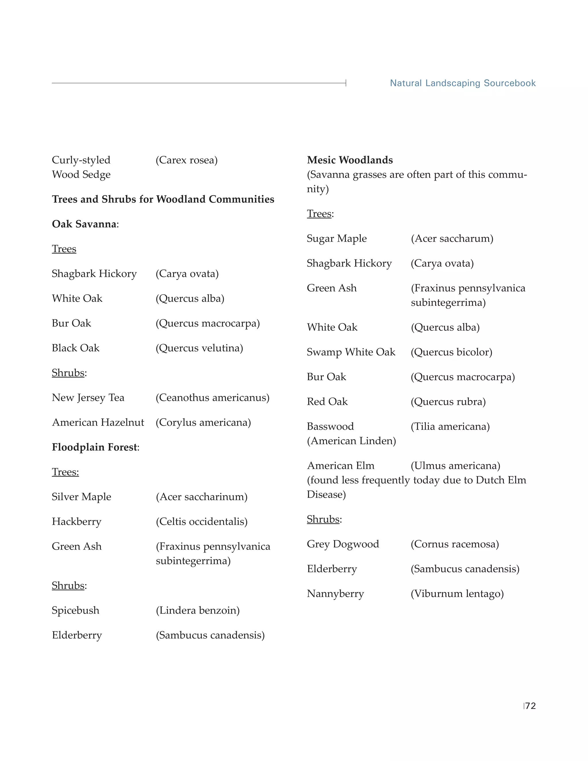 Natural Landscaping Sourcebook




Curly-styled         (Carex rosea)             Mesic Woodlands
Wood Sedge                                     (Savanna grasses are often part of this commu-
                                               nity)
Trees and Shrubs for Woodland Communities
                                               Trees:
Oak Savanna:
                                               Sugar Maple          (Acer saccharum)
Trees
                                               Shagbark Hickory     (Carya ovata)
Shagbark Hickory     (Carya ovata)
                                               Green Ash            (Fraxinus pennsylvanica
White Oak            (Quercus alba)                                 subintegerrima)
Bur Oak              (Quercus macrocarpa)      White Oak            (Quercus alba)
Black Oak            (Quercus velutina)        Swamp White Oak      (Quercus bicolor)
Shrubs:                                        Bur Oak              (Quercus macrocarpa)
New Jersey Tea       (Ceanothus americanus)    Red Oak              (Quercus rubra)
American Hazelnut    (Corylus americana)       Basswood             (Tilia americana)
                                               (American Linden)
Floodplain Forest:
                                               American Elm          (Ulmus americana)
Trees:
                                               (found less frequently today due to Dutch Elm
Silver Maple         (Acer saccharinum)        Disease)

Hackberry            (Celtis occidentalis)     Shrubs:

Green Ash            (Fraxinus pennsylvanica   Grey Dogwood         (Cornus racemosa)
                     subintegerrima)
                                               Elderberry           (Sambucus canadensis)
Shrubs:
                                               Nannyberry           (Viburnum lentago)
Spicebush            (Lindera benzoin)

Elderberry           (Sambucus canadensis)




                                                                                            72
 