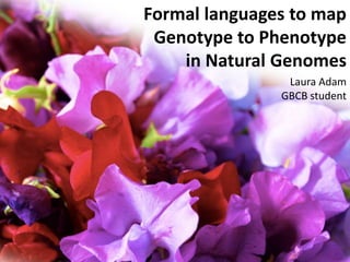 Formal languages to map
Genotype to Phenotype
in Natural Genomes
Laura Adam
GBCB student
 
