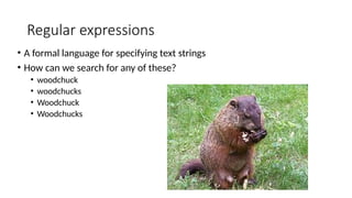 Regular expressions
• A formal language for specifying text strings
• How can we search for any of these?
• woodchuck
• woodchucks
• Woodchuck
• Woodchucks
 