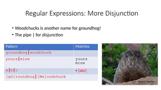 Regular Expressions: More Disjunction
• Woodchucks is another name for groundhog!
• The pipe | for disjunction
Pattern Matches
groundhog|woodchuck
yours|mine yours
mine
a|b|c = [abc]
[gG]roundhog|[Ww]oodchuck
Photo D. Fletcher
 