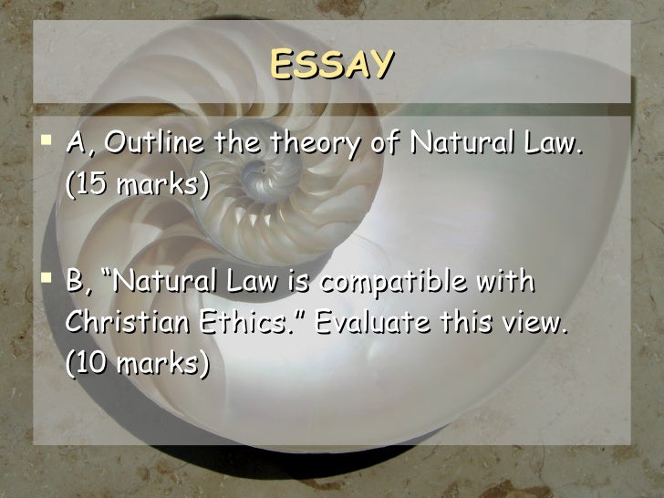 Explain the natural law theory essay