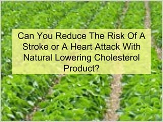 Can You Reduce The Risk Of A Stroke or A Heart Attack With Natural Lowering Cholesterol Product? 
