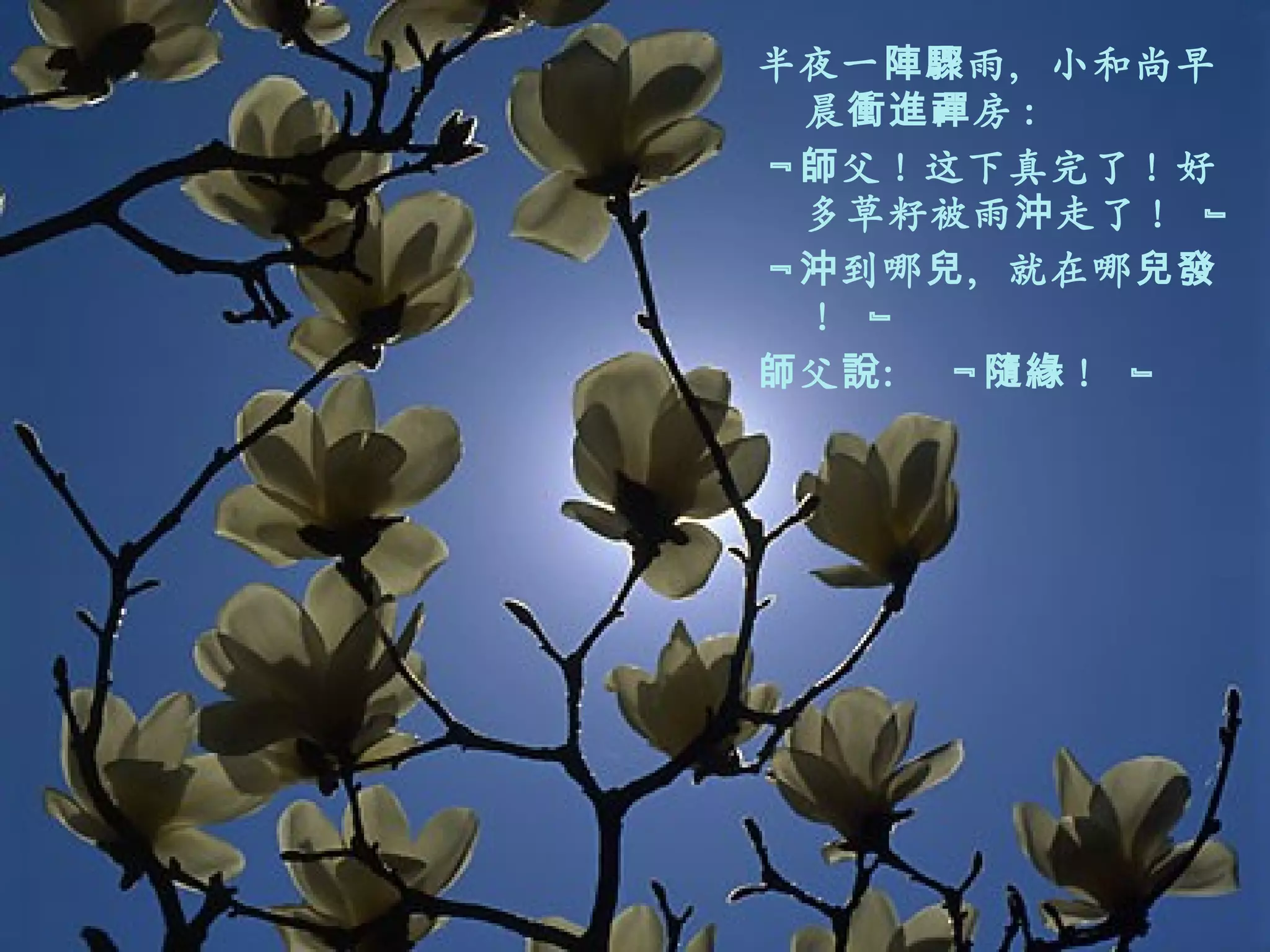 半夜一陣驟雨，小和尚早晨衝進禪房 : ﹃師父！这下真完了！好多草籽被雨沖走了！ ﹄ ﹃沖到哪兒，就在哪兒發！ ﹄ 師父說： ﹃隨緣！ ﹄  