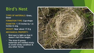 Bird’s Nest
TYPES OF MATERIALS: Grass,
Straw
FORMATION TYPE: Cup-shape
DIAMETER: 1.15 inches by 1.6
inches in avg.
WEIGHT: Near about 17.0 g
MECHANICAL PROPERTY:
 Bird nest is light-so that it
doesn’t fall from height.
 The straw & grassy
materials are welded nicely
to avoid windy condition &
any other forces
 