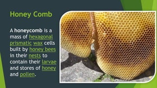 Honey Comb
A honeycomb is a
mass of hexagonal
prismatic wax cells
built by honey bees
in their nests to
contain their larvae
and stores of honey
and pollen.
 