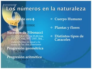 Número de oro φ

Ф

Cuerpo Humano

Ф

Plantas y flores

Ф

Distintos tipos de
Caracoles

Sucesión de Fibonacci
1,1,2,3,5,8,13,21,34,55,89,144,
233, 377, 610, 987, 1597, 584...
cada término es igual a la
suma de los dos anteriores

Progresiónngeométrica
an = a1q

Progresión aritmética
an = a1 + n ⋅ r

 