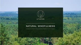 NATURAL MINDFULNESS
LIT WITHIN
 