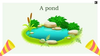 A pond
 
