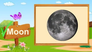 Moon
 