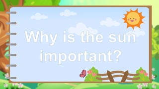 Why is the sun
important?
 