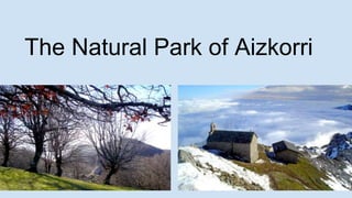 The Natural Park of Aizkorri
 