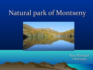 Natural park of MontsenyNatural park of Montseny
Nora MeritxellNora Meritxell
i Nettzamii Nettzami
 