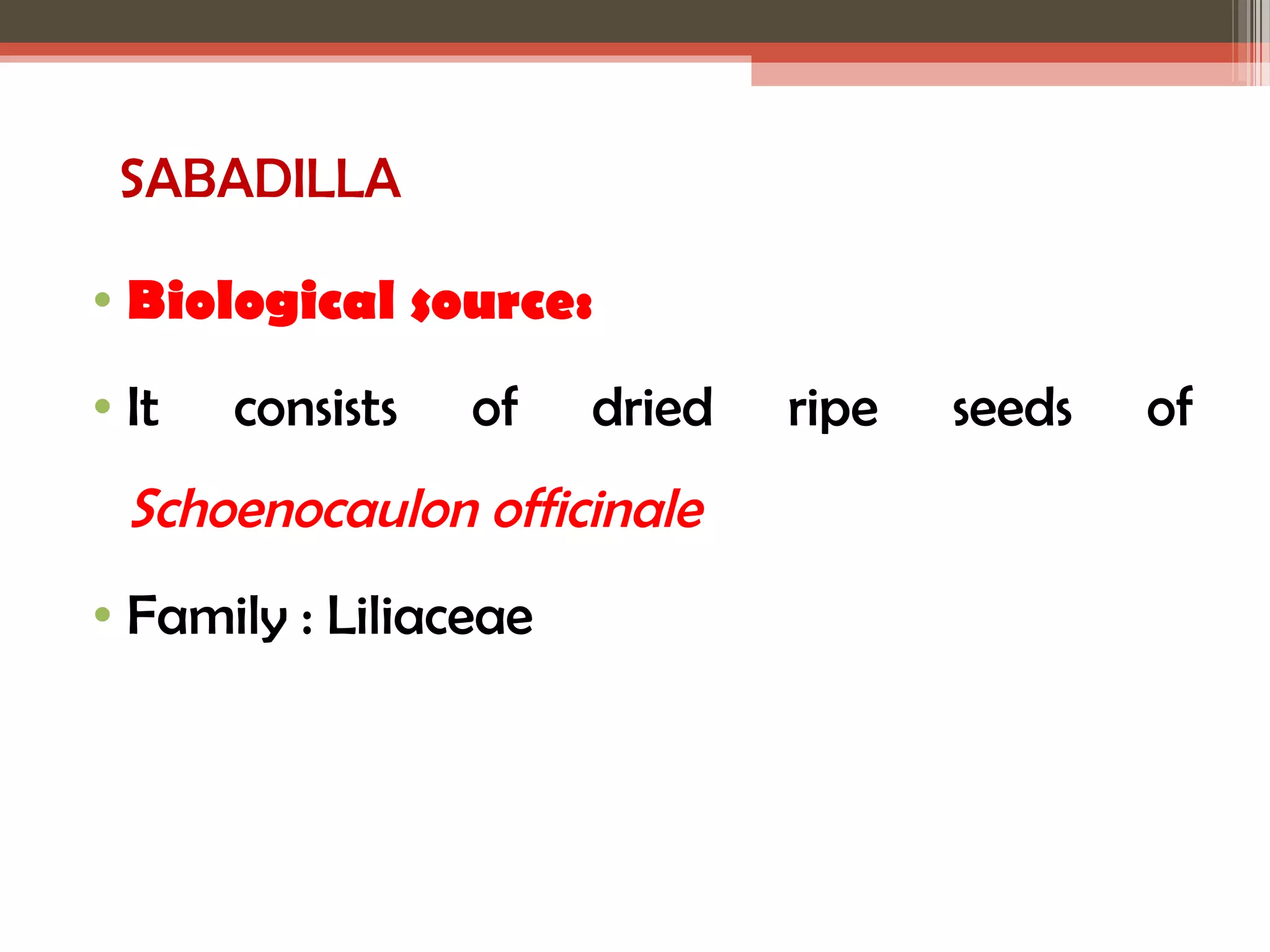 SABADILLA 
• Biological source: 
• It consists of dried ripe seeds of 
Schoenocaulon officinale 
• Family : Liliaceae 
 