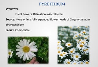 Natural pesticides-Pyrethrum, Tobacco, neem.pptx